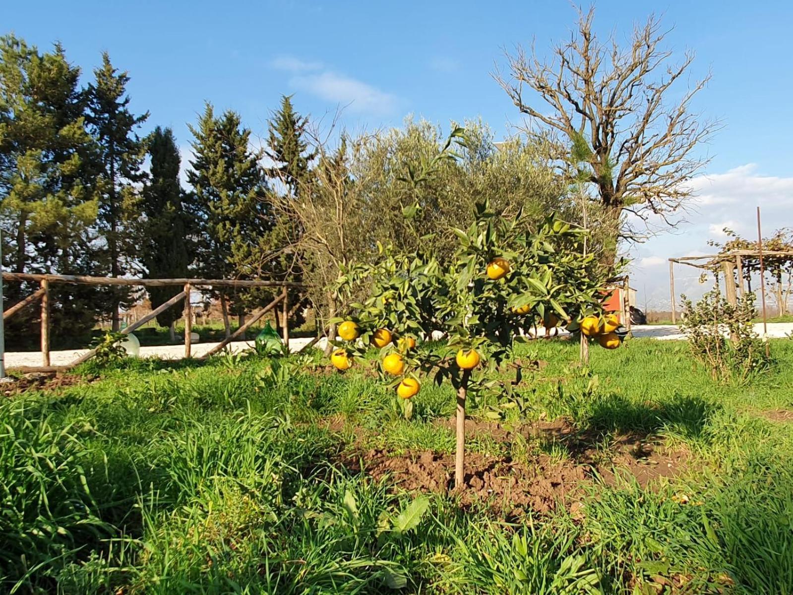 Vila L' Alcova Del Conte Dragoni  Exteriér fotografie